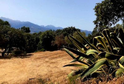 emplacement vue montagne